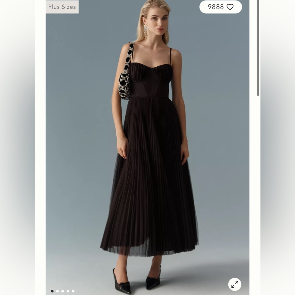 Hutch Amara Corset Tulle Dress